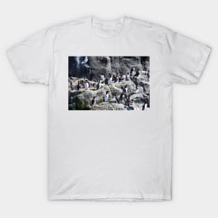 Guillemot Rock - Farne islands, Northumberland T-Shirt